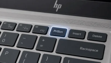 Snipping Tool window on HP laptop showing New button, snip mode options, and edit toolbar with pen and highlighter